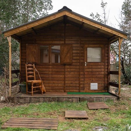 Апартаменты Le Phenix - Hypercentre 16 Personnes Garage Gratuit Wifi Jardin Barbecue Proche Parc Tete D'Or Вийёрбан Экстерьер фото